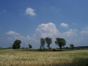 <img300*0:stuff/z/15695/Yuriona%2520Stock%2520Set%25202/Summer%20032.jpg>