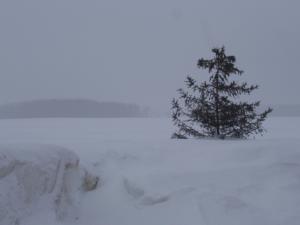 <img300*0:stuff/z/15695/Yuriona%2520Stock%2520Set%25202/Winter%20068.jpg>