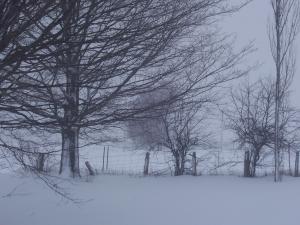 <img300*0:stuff/z/15695/Yuriona%2520Stock%2520Set%25203/Christmas%20045.jpg>