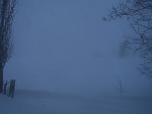 <img300*0:stuff/z/15695/Yuriona%2520Stock%2520Set%25203/December%202008%20001.jpg>