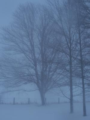 <img300*0:stuff/z/15695/Yuriona%2520Stock%2520Set%25203/December%202008%20002.jpg>