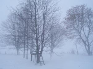 <img300*0:stuff/z/15695/Yuriona%2520Stock%2520Set%25203/December%202008%20009.jpg>