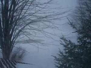 <img300*0:stuff/z/15695/Yuriona%2520Stock%2520Set%25203/December%202008%20013.jpg>