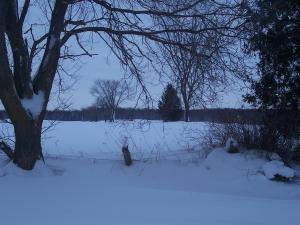 <img300*0:stuff/z/15695/Yuriona%2520Stock%2520Set%25203/December2008%20049.jpg>