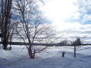 <img300*0:stuff/z/15695/Yuriona%2520Stock%2520Set%25203/February%20019.jpg>