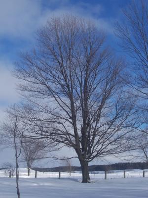 <img300*0:stuff/z/15695/Yuriona%2520Stock%2520Set%25203/February%20023.jpg>