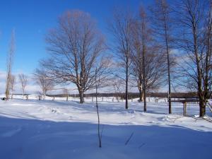 <img300*0:stuff/z/15695/Yuriona%2520Stock%2520Set%25203/February%20028.jpg>
