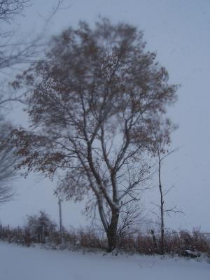 <img300*0:stuff/z/15695/Yuriona%2520Stock%2520Set%25203/November2008%20013.jpg>
