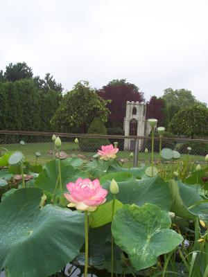 <img300*0:stuff/z/15695/Yuriona%2520Stock%2520Set%25203/Summers_End%20028.jpg>