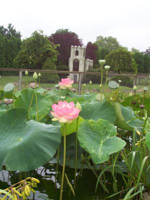 <img300*0:stuff/z/15695/Yuriona%2520Stock%2520Set%25203/Summers_End%20029.jpg>