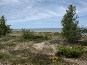 <img300*0:stuff/z/15695/Yuriona%2527s%2520Water%2520References%25202/Field%20Trip%202009%20028.jpg>