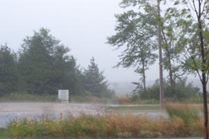 <img300*0:stuff/z/15695/Yuriona%2527s%2520Water%2520References%25202/IM000239.jpg>