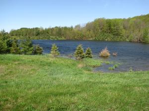 <img300*0:stuff/z/15695/Yuriona%2527s%2520Water%2520References%25202/June%20009%20007.jpg>