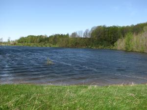 <img300*0:stuff/z/15695/Yuriona%2527s%2520Water%2520References%25202/June%20009%20009.jpg>