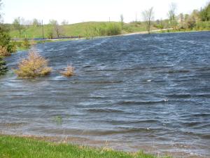 <img300*0:stuff/z/15695/Yuriona%2527s%2520Water%2520References%25202/June%20009%20010.jpg>