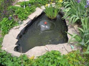 <img300*0:stuff/z/15695/Yuriona%2527s%2520Water%2520References%25202/June%20009%20177.jpg>