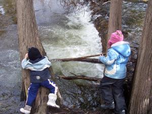 <img300*0:stuff/z/15695/Yuriona%2527s%2520Water%2520References%25202/Tree%20Planting%20003.jpg>