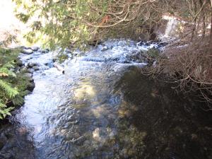 <img300*0:stuff/z/15695/Yuriona%2527s%2520Water%2520References/Family%20Day%202009%20024.jpg>