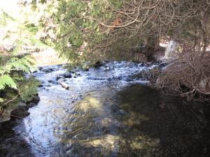 <img300*0:stuff/z/15695/Yuriona%2527s%2520Water%2520References/Family%20Day%202009%20025.jpg>