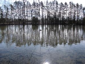 <img300*0:stuff/z/15695/Yuriona%2527s%2520Water%2520References/Family%20Day%202009%20026.jpg>