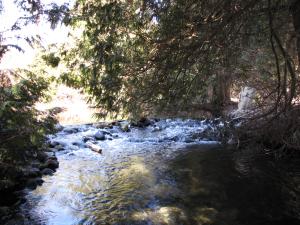 <img300*0:stuff/z/15695/Yuriona%2527s%2520Water%2520References/Family%20Day%202009%20027.jpg>