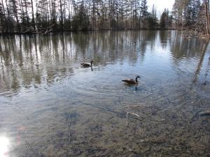 <img300*0:stuff/z/15695/Yuriona%2527s%2520Water%2520References/Family%20Day%202009%20029.jpg>