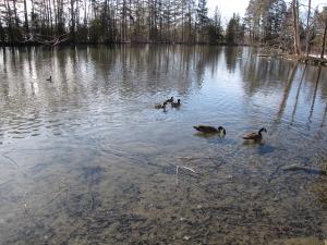 <img300*0:stuff/z/15695/Yuriona%2527s%2520Water%2520References/Family%20Day%202009%20032.jpg>