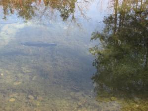 <img300*0:stuff/z/15695/Yuriona%2527s%2520Water%2520References/Family%20Day%202009%20035.jpg>