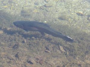 <img300*0:stuff/z/15695/Yuriona%2527s%2520Water%2520References/Family%20Day%202009%20037.jpg>