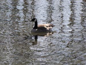 <img300*0:stuff/z/15695/Yuriona%2527s%2520Water%2520References/Family%20Day%202009%20050.jpg>