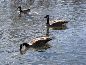 <img300*0:stuff/z/15695/Yuriona%2527s%2520Water%2520References/Family%20Day%202009%20052.jpg>