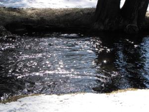 <img300*0:stuff/z/15695/Yuriona%2527s%2520Water%2520References/Family%20Day%202009%20077.jpg>