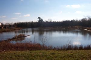 <img300*0:stuff/z/15695/Yuriona%2527s%2520Water%2520References/IM001283.jpg>
