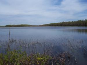 <img300*0:stuff/z/15695/Yuriona%2527s%2520Water%2520References/May2008%20055.jpg>