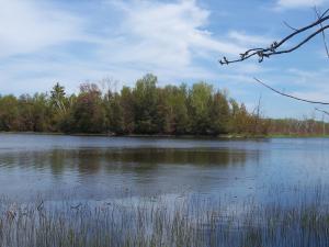 <img300*0:stuff/z/15695/Yuriona%2527s%2520Water%2520References/May2008%20058.jpg>
