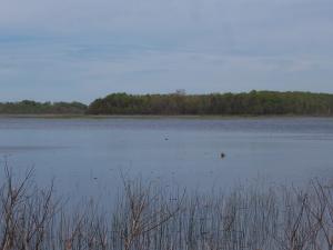 <img300*0:stuff/z/15695/Yuriona%2527s%2520Water%2520References/May2008%20073.jpg>