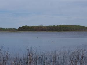 <img300*0:stuff/z/15695/Yuriona%2527s%2520Water%2520References/May2008%20074.jpg>