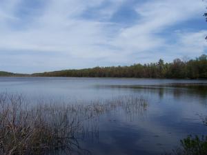 <img300*0:stuff/z/15695/Yuriona%2527s%2520Water%2520References/May2008%20076.jpg>