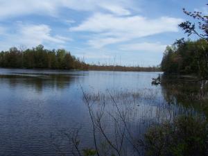 <img300*0:stuff/z/15695/Yuriona%2527s%2520Water%2520References/May2008%20080.jpg>