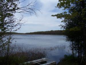 <img300*0:stuff/z/15695/Yuriona%2527s%2520Water%2520References/May2008%20083.jpg>