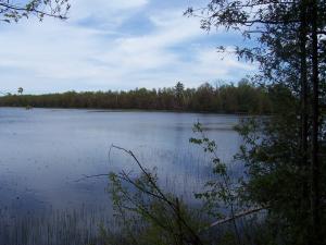 <img300*0:stuff/z/15695/Yuriona%2527s%2520Water%2520References/May2008%20088.jpg>