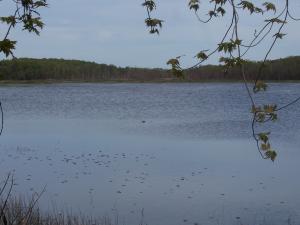 <img300*0:stuff/z/15695/Yuriona%2527s%2520Water%2520References/May2008%20089.jpg>