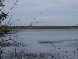 <img300*0:stuff/z/15695/Yuriona%2527s%2520Water%2520References/May2008%20090.jpg>