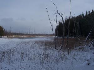 <img300*0:stuff/z/15695/Yuriona%2527s%2520Water%2520References/November2008%20109.jpg>