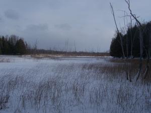 <img300*0:stuff/z/15695/Yuriona%2527s%2520Water%2520References/November2008%20111.jpg>