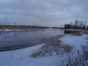 <img300*0:stuff/z/15695/Yuriona%2527s%2520Water%2520References/November2008%20122.jpg>