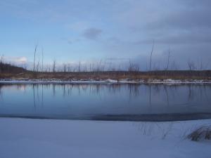 <img300*0:stuff/z/15695/Yuriona%2527s%2520Water%2520References/November2008%20124.jpg>