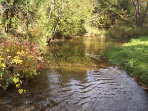 <img300*0:stuff/z/15695/Yuriona%2527s%2520Water%2520References/October2008%20088.jpg>