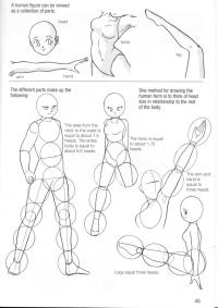 <img200*0:stuff/z/15695/YurisHowtoDrawMangaReference/2-10.jpg>
