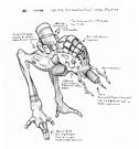 <img:stuff/z/159739/colors%2520and%2520needles/i1237046649_6.jpg>
